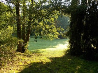 Parque de vacaciones Elst Entorno 10