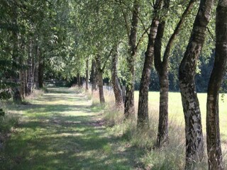 Parque de vacaciones Elst Entorno 24