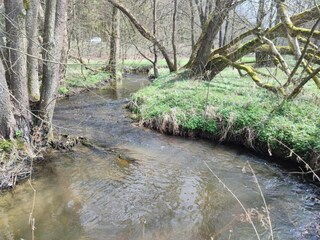 Vakantiepark Elst Omgeving 11