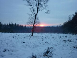 Vakantiepark Elst Omgeving 32