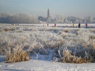 Parc de vacances Elst Environnement 25