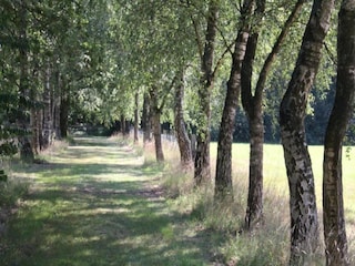 Ferienpark Elst Umgebung 15