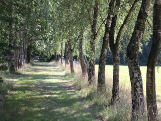 Holiday park Elst Environment 14