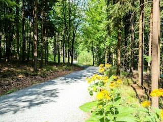 Parc de vacances Elst Environnement 18