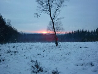 Parc de vacances Elst Environnement 24