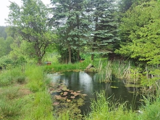 Parco vacanze Elst Ambiente 18