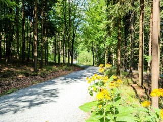 Parc de vacances Elst Environnement 13
