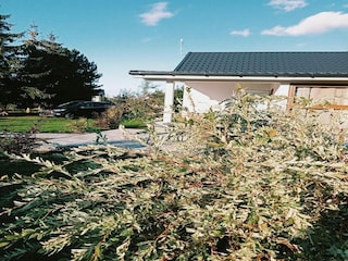 Ferienhaus Kołczewo Außenaufnahme 4
