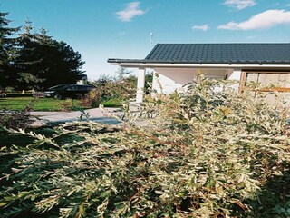 Ferienhaus Kołczewo Außenaufnahme 5