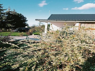 Ferienhaus Kołczewo Außenaufnahme 9