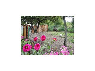Vakantiepark Kołczewo Buitenaudio-opname 3