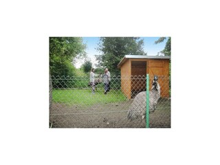 Ferienpark Kołczewo Außenaufnahme 6