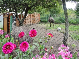 Ferienpark Kołczewo Außenaufnahme 7