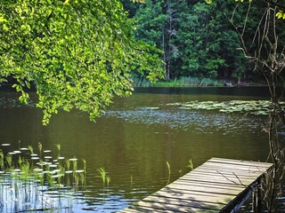Parco vacanze Kołczewo Ambiente 17