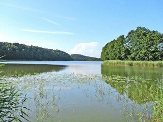 Parque de vacaciones Kołczewo Entorno 17