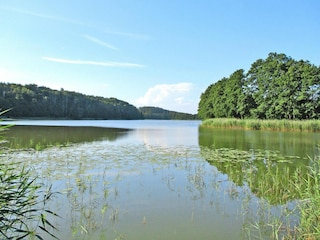 Vakantiepark Kołczewo Omgeving 17