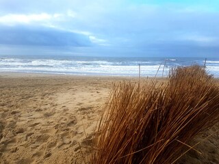 Ferienwohnung Julianadorp Umgebung 29