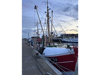 Hafen Büsum