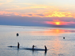 Schwimmen im Sonnenuntergang