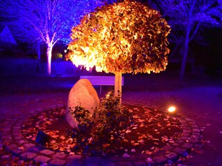 Lichterwoche im Kurpark