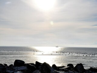 Wattenmeer