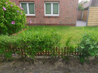 Casa per le vacanze Borkum Registrazione all'aperto 12