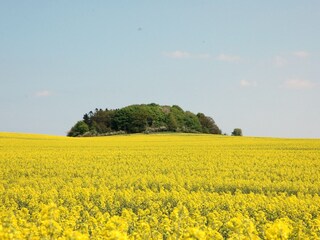 Appartamento per vacanze Göhren Ambiente 27