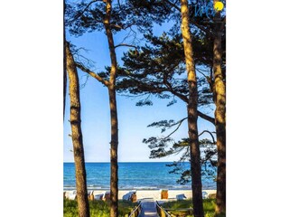 Apartamento de vacaciones Binz Grabación al aire libre 3