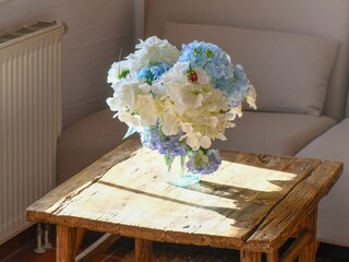 Appartamento per vacanze Dranske Registrazione all'aperto 9