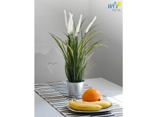 Appartamento per vacanze Dranske Registrazione all'aperto 7