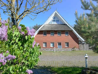 Ferienwohnung Dranske Außenaufnahme 11