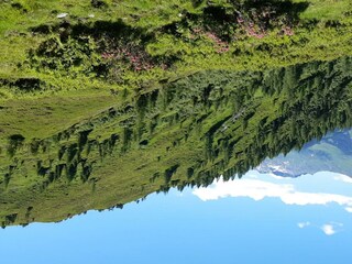 Wandern auf der Hochalm