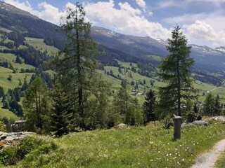 Rad- und Wanderweg nach Kolm