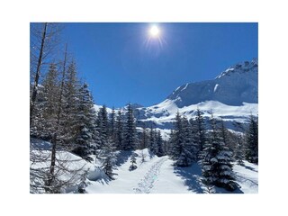 Schneeschuhtrail Kolm Saigurn
