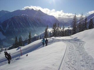 Hochalm Winterwanderweg