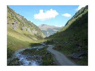 Krumeltal das Tal der Geier und Wildtiere