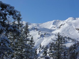 Winterwandern Hochalm
