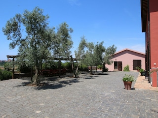 Ferienpark Montalto Di Castro Außenaufnahme 11