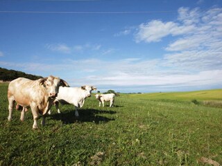 Ferienpark Montalto Di Castro Umgebung 24