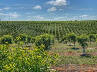 Ferienpark Montalto Di Castro Umgebung 26