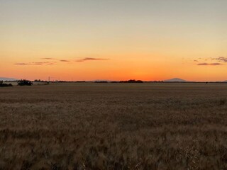 Parc de vacances Montalto Di Castro Environnement 27