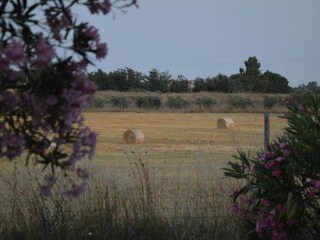 Vakantiepark Montalto Di Castro Omgeving 30