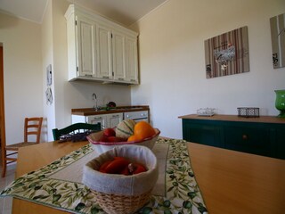 Vakantiepark Montalto Di Castro Kenmerken 28