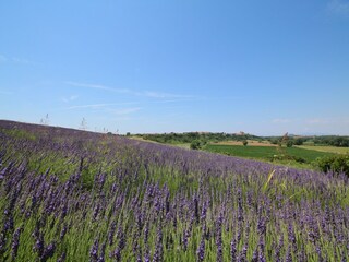 Vakantiepark Montalto Di Castro Buitenaudio-opname 13