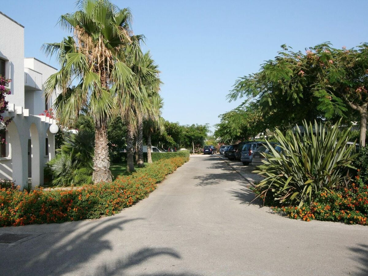 Ferienpark Villanova (Ostuni) Umgebung 29