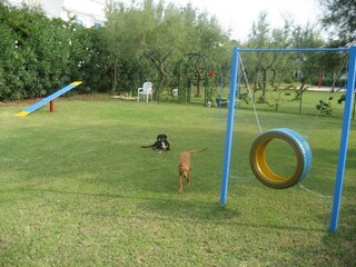 Holiday park Villanova (Ostuni) Outdoor Recording 5
