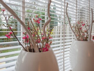 Ferienwohnung Bergen (Holland) Ausstattung 8