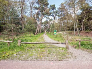 Ferienwohnung Bergen (Holland) Umgebung 16