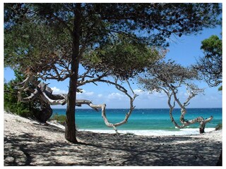 Beaches o saint-Florent. Saleccia
