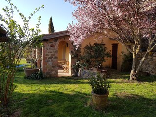 Appartamento per vacanze Torre Alfina Registrazione all'aperto 4